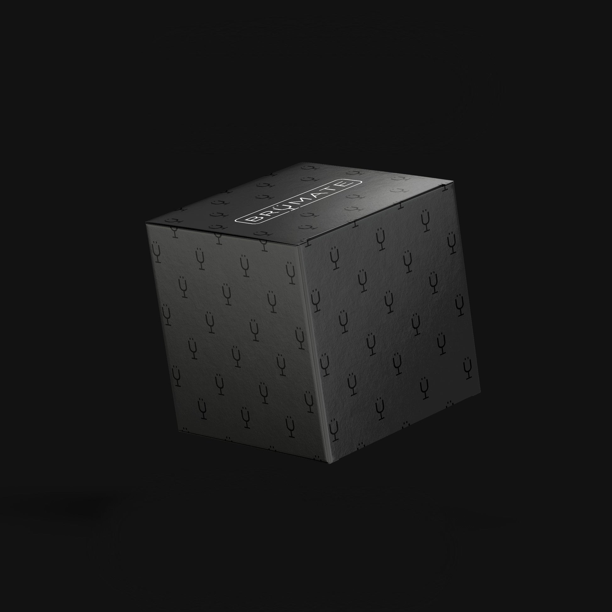 mystery-item-24-49-value-h8 Mystery-Box-FINAL.jpg